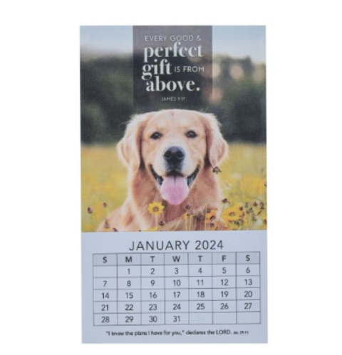 2024 Every Perfect Gift Mini Magnetic Calendar - James 1:17