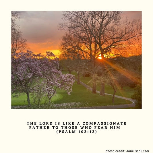 June Inspiration