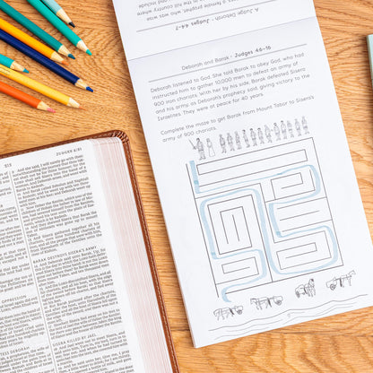 Bible Activity Book: Kingdoms and Captives