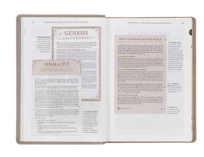 Embroidered Taupe Faux Leather Spiritual Growth Bible