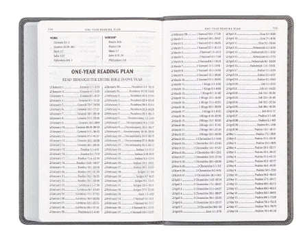 Charcoal Faux Leather Gift Edition King James Version Bible
