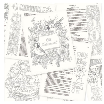 Silky Floral Printed KJV My Creative Bible