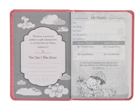 Pink Faux Leather NLT New Testament Keepsake Bible for Girls