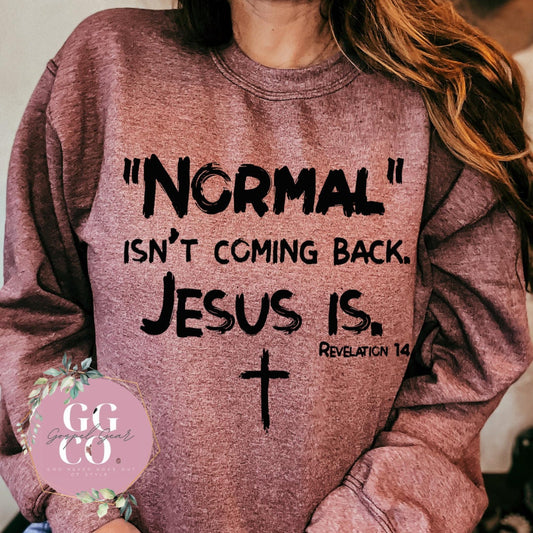Christian Pullover  - Normal Isn't Coming Back - Jesus Pullover - Trendy Christian Pullover - Christian Gift - Christian Apparel (4-1)