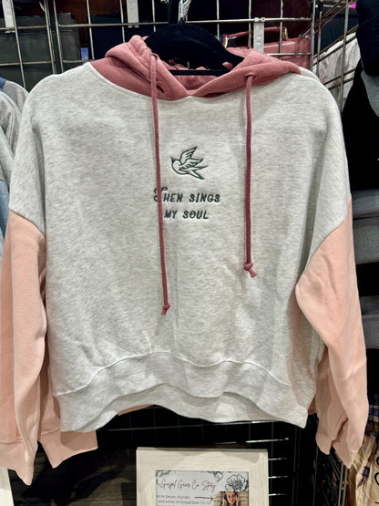 Colorblock Christian Embroidered Pullover, Cropped Christian Sweatshirt, Embroidered Jesus Pullover, Christian Pullover, Christian Gift